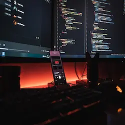 Must-Have Skills for Junior Frontend Devs: A Guide to Essential Expertise for Success